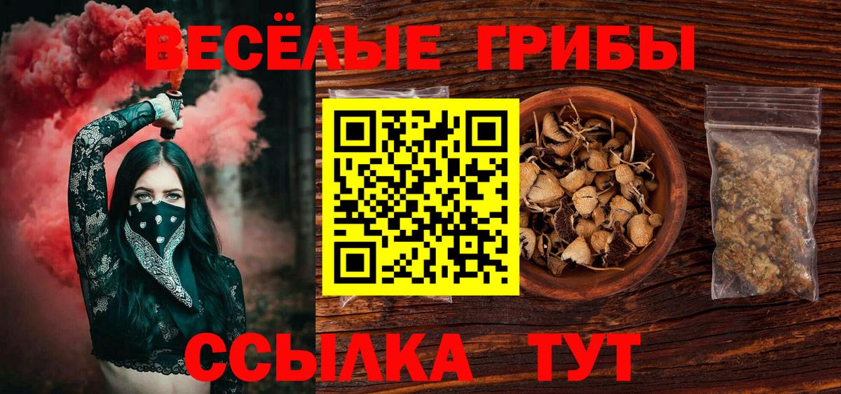 Псилоцибиновые грибы мухоморы  Вход с VPN  Сухой Лог  купить закладку  Псилоцибиновые грибы мицелий 